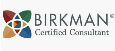 Birkman Team Workshop - Individual feedback