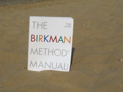Birkman ve Mbti Karşılaştırma Raporu