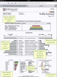 Developing Executives with Birkman Method - Thumbnail