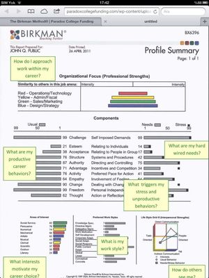 Developing Executives with Birkman Method 