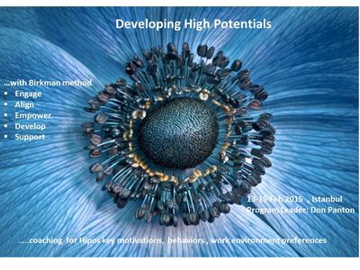 Birkman Assessment for Talent Management