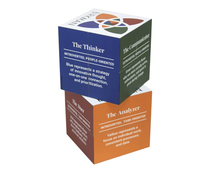 Birkman Assessment for Talent Management