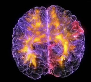  - Kendinle Kontratlı yasamak