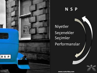 NSPMethod - Kendine koçluk ve Beynin hikayesi